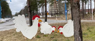 Nu har rondellerna befolkats