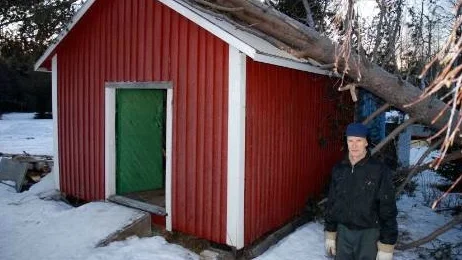 Gustav Sildeman konstaterar att det är en rejäl tall som ramlat över hans boda. FOTO: Lotta Nilsson