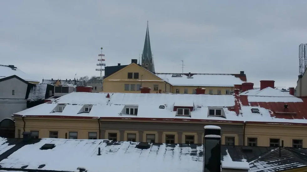 Mulet och uppehåll.