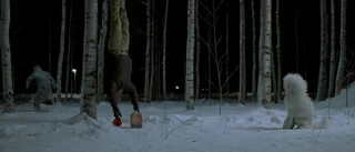 Grymt och lagom  blodigt