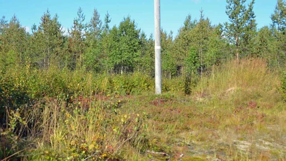 HÄR VAR EN VÄG. Det syns inga spår av vägen, som en gång gick här.