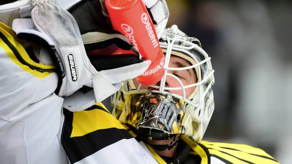 David Rautio, Brynäs.
