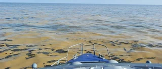 Rädda Östersjön - byt biffen mot bönor i sommar