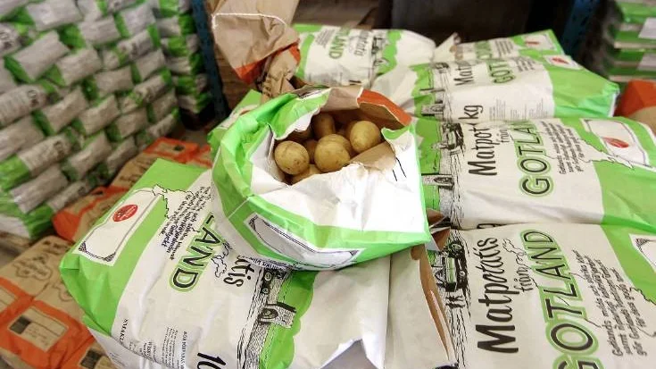 Potatis