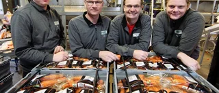 Ny vd för Widegrens