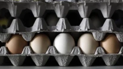 Eggs raised at Springfield Farm are shown Tuesday, Aug. 24, 2010, in Sparks, Md. The farm in northern Baltimore County gets about 1,400 eggs each day from its 2,000 laying chickens, a cross between Rhode Island Reds and Rhode Island Whites. (AP Photo/Rob Carr)
