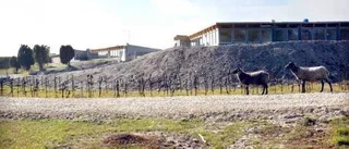 Bungenäs ägare har stora planer