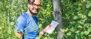 O-ringen: ett äventyr i stor skala för Pedro