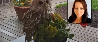 Oväntat besök vid morgonkaffet