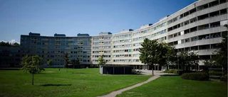 Skolan viktig när hälsan är ojämlik