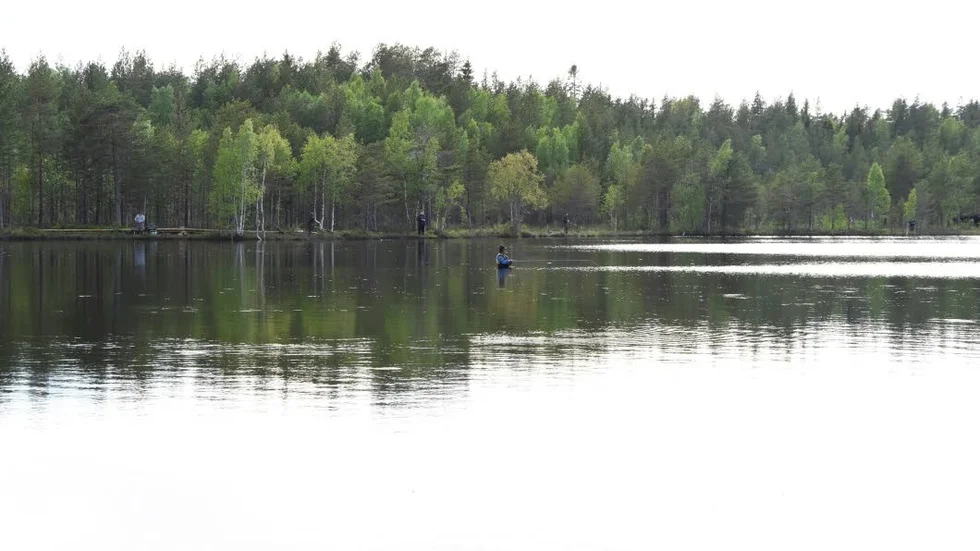 I vissa delar av Hertsöträsk är det långgrunt och den som vill flugfiska kan vada långt ut i sjön. I dagarna släpps regnbåge ut i sjön och på torsdag är det fisketävling.