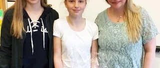 Rekordmånga bidrag i skrivartävling