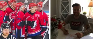 Kalix värvar back med allsvenska meriter