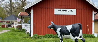 Gårdsbutik fick kaffeförbud – tog vattnet från egen brunn