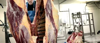 Gotlands Ekologiska har bestämt sig