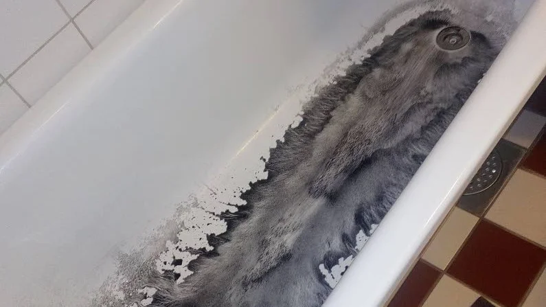 Så här såg badkaret ut när vattnet var tömt.