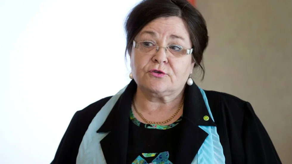 Nytt uppdrag. Regionrådet Agneta Granström (MP) tar plats i EU:s regionkommitté.