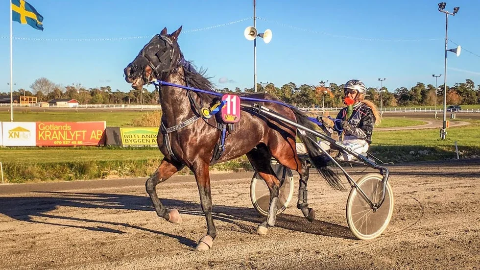 Årets damchampion blev Alexandra Hellgren. Den som hjälpte henne på traven till den titeln var bland andra Deep Sea som vann måndagens lopp 8.