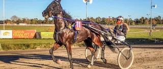 Hellgren och Sjöström champions på Skrubbs