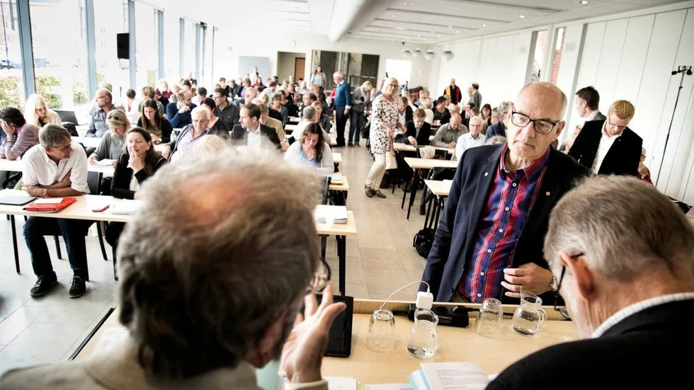 Att minska fullmäktigeplatserna från 71 till 61 skulle, enligt modraten Anna Hrdlicka, kunna leda till ett aktivare fullmäktige.