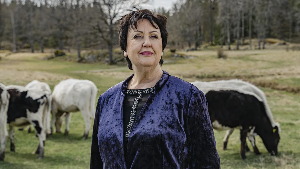Babben Larsson trivs i naturen och särskilt i den karga och strandnära miljön vid Gammelgarn där släkten äger ett hus.