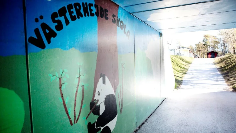VÄSETRHEJDE. Det är dags att lösa in besparingarna som gjorts genom att inte underhålla Västerhejde skola under 30 års tid anser Mattias Wahlgren.?