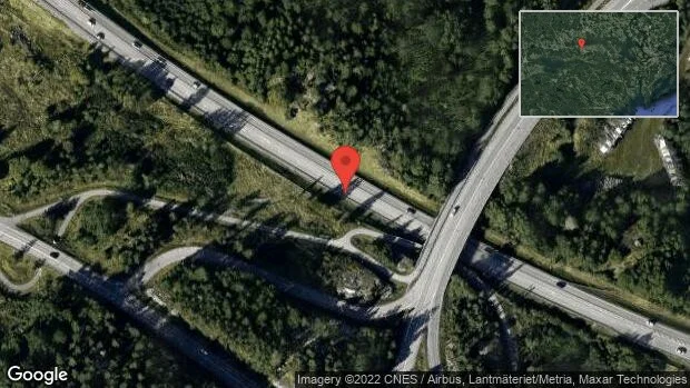 Rådjur på vägen på E20
