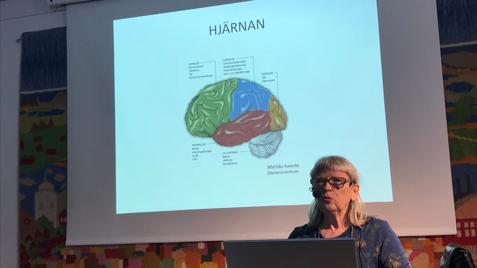 Anna-Carin Asp är läkare och ordförande i Bodens demensförening.