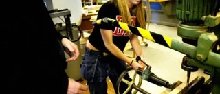 Får kvinnor snickra och män städa i Sverige 2010?