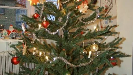 Trots problem med julgransfoten har Christer Engelhardt (s) med familj en fin julgran. Och han ser sitt partis skrivning om vägpriser i Gotlandstrafiken som en  framgång.