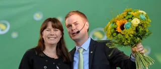 Luftslottet Miljöpartiet för gröna