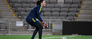 Inget VM-kvalspel för Musovic – är skadad