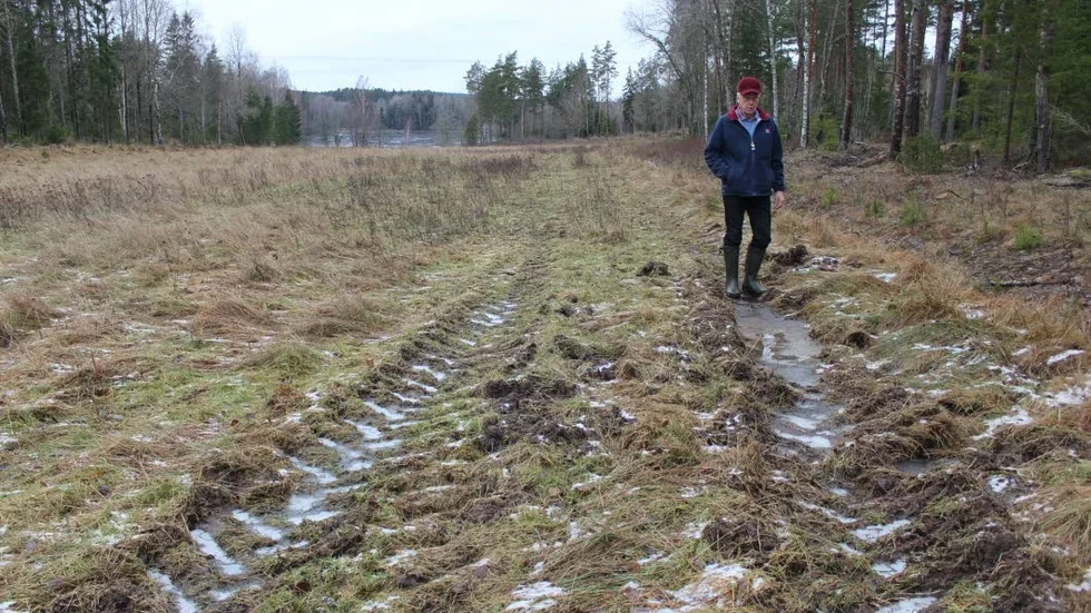 Körskador. Åke Sjöstrand på den vall som Vattenfall har kört på.