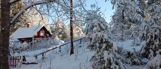 Snötäckt vinteridyll blev februarivinnare