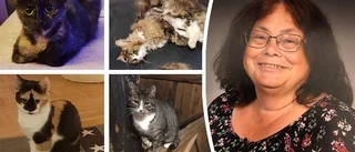 Kattälskare skänkte 75 000 kronor