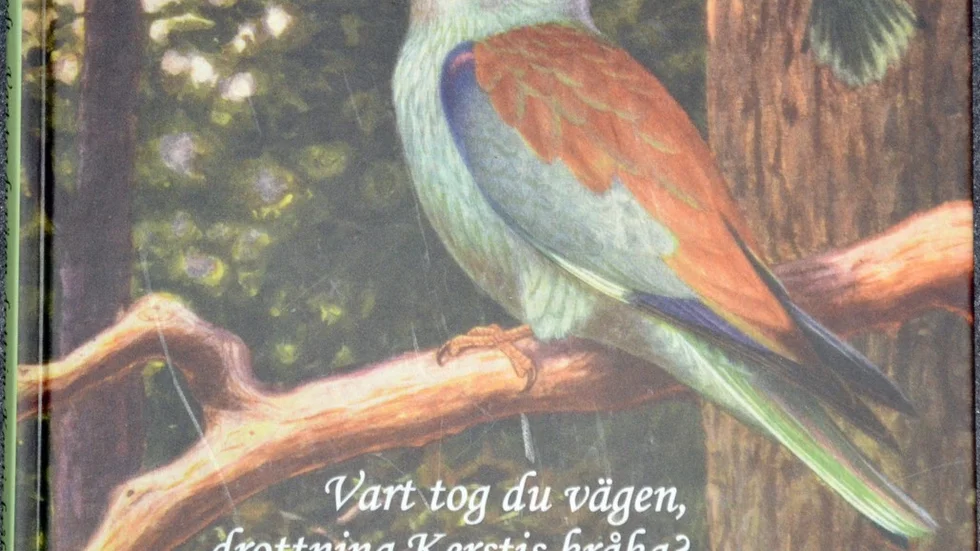 Vart tog blåkråkan vägen? Den svarta storken, mellanspetten och dubbelbeckasinen. Svaren ges i boken.