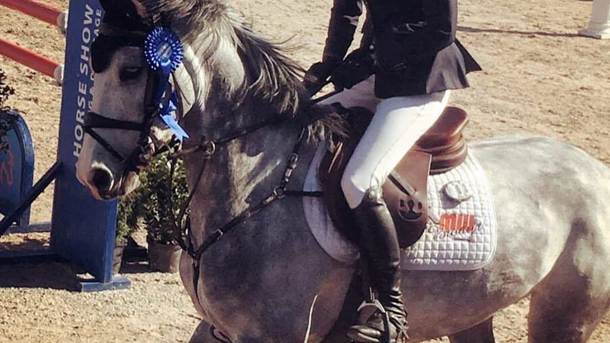Sandra Fransson och Aelya blev tvåa i lördagens 1,40-hoppning. Dessutom lyckades Vimmerbyryttarinnan kvala in totalt fem hästar till Falsterbo Horse Show. Foto: Privat