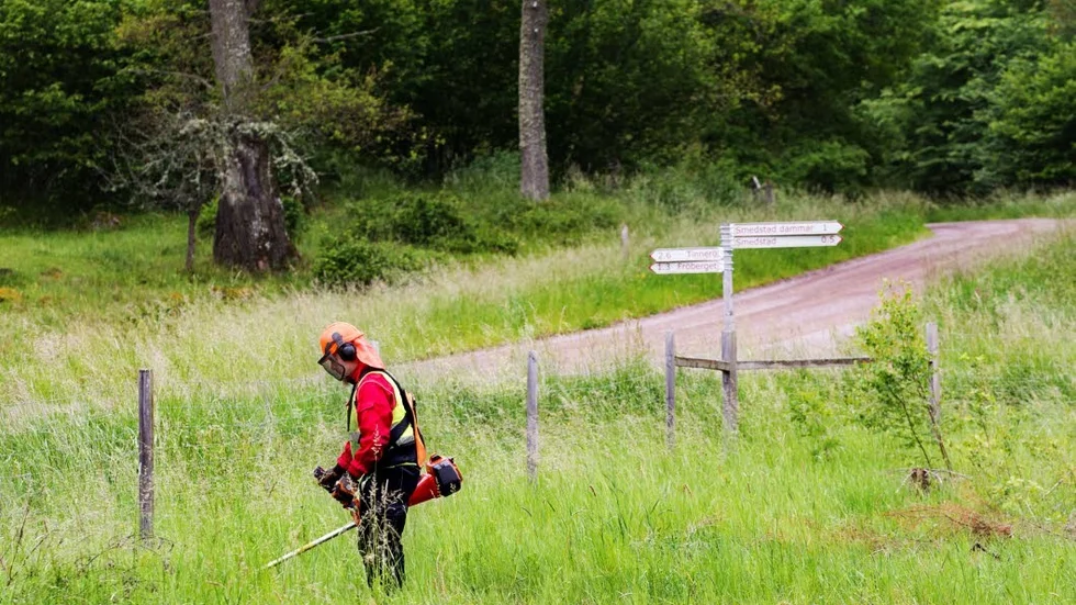 Det finns ytor både centralt och utanför tätorten som skulle kunna slås och därmed hjälpa lokala bönder med att få fram tillräckligt mycket foder.