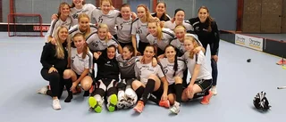 Libk vann – kvar i allsvenskan