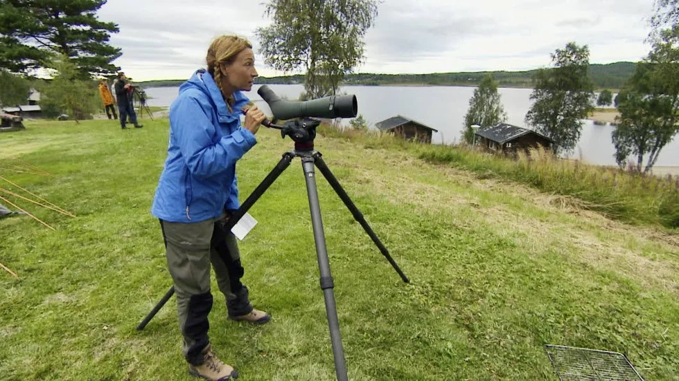 Martina Haag skådar fåglar i SVT:s nyaste kändisprogram