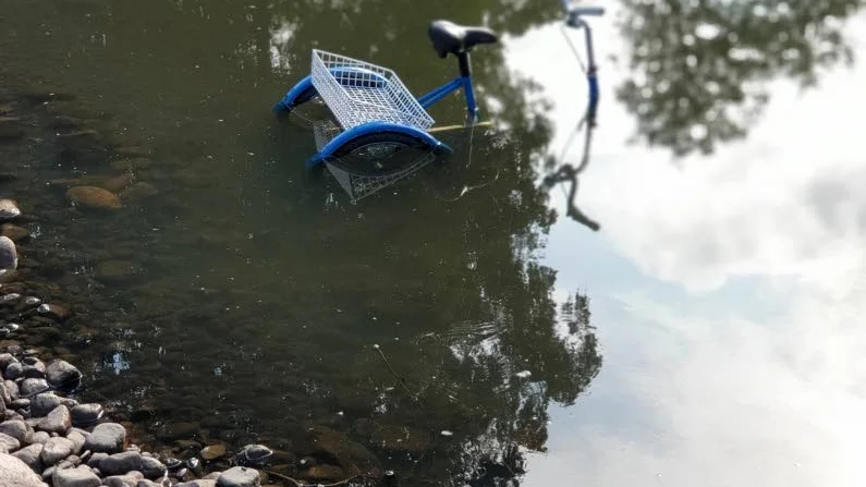 Ovanligt fynd i dammen och ägaren lyser med sin frånvaro.