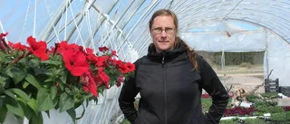 Handelsträdgården har specialhelg för barnen