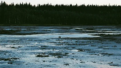 Det luktar illa från dammen i Bruzaholm.