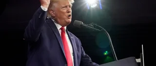 Utskott: Trump försökte olagligen ändra valet