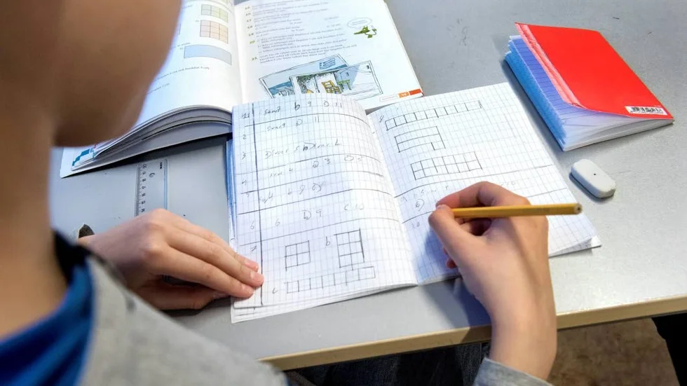 För att åstadkomma den bästa skolan bör politikerna lyssna på professionen, menar skribenten.
