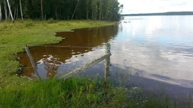 Sjön Yxern 1:e augusti i år. Foto: Tino Åberg