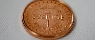 Christian Dahlgren: Kronan är en skandal