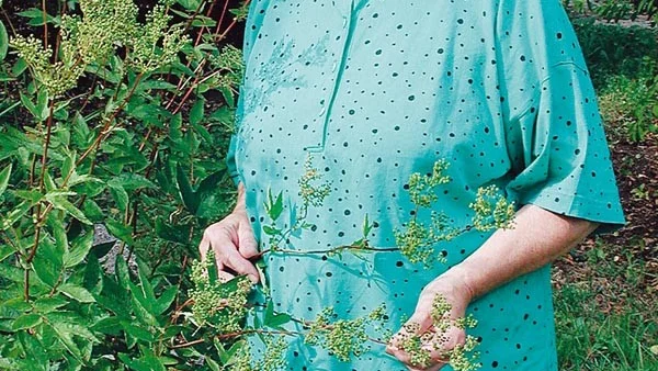 Gun-Britt Monell från Horn får Östergötlands landsbygdsstipendium för 2002.