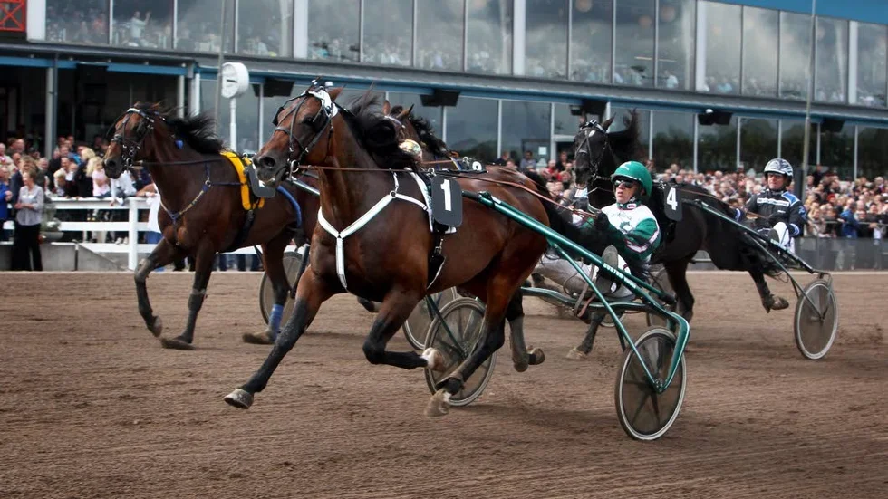 Storfavoriten Maharajah höll för trycket och vann Östgötaloppet med Örjan Kihlström i sulkyn. MANTORP 20100912
V75 med Östgötaloppet där hästen Maharajah vann med kusken Örjan Kihlström.
Bild Jeppe Gustafsson