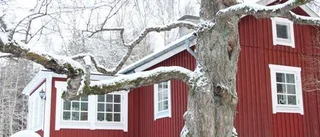 I det röda torpet firas en riktigt lantlig jul